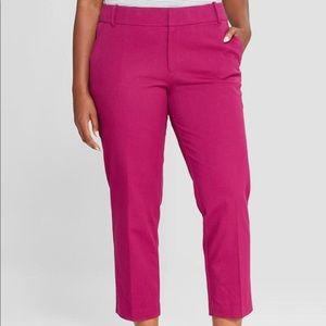 Magenta Ava & Viv comfort waistband ankle pants